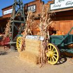 Cambria_0398 (November 01, 2013)